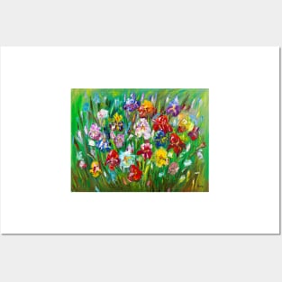 Multicolored Irises Posters and Art